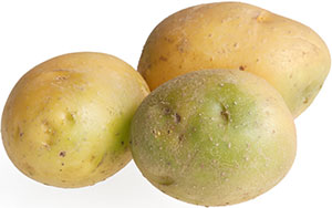 Bild einer Kartoffel mit Solanin- /Chlorophyllbildung